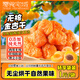 零食宅域新疆正宗紅杏干自然干無(wú)添加劑土耳其酸杏干獨立包裝休閑零食1斤