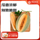 趣嘗鮮新疆西州蜜2粒 6-7斤裝 生鮮水果 1號會員店 源頭直發(fā)