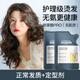 歐萊雅（LOREAL）燙發(fā)藥水致菁奢養燙發(fā)膏無(wú)氨燙發(fā)燙卷發(fā)不毛躁羊毛卷大波浪劉海卷 正常發(fā)質(zhì)燙發(fā)膏+定型液