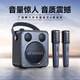 山水（SANSUI）音響功放一體機(jī)2025新款無(wú)線藍(lán)牙小型家用ktv手提便攜式戶外大音量廣場(chǎng)舞音箱低音炮喇叭播放器 D71【尊享版】雙麥32G優(yōu)盤(pán)版 便攜K歌音響套裝