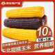 守望鄉(xiāng)村（KEEP W-VILLAGE GO）東北玉米200g*12支 新鮮甜糯玉米 真空包裝鮮嫩玉米苞米棒 【5黑5黃】10支共 2000g 以上