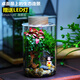 辦公室室內綠植桌面生態(tài)瓶創(chuàng  )意苔蘚微景觀(guān)生態(tài)缸造景水族箱養蟹 門(mén)院前(送led燈)10*15cm