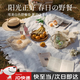 斐月伽野餐布墊子桌布戶外露營沙發(fā)毯子沙灘春游地墊民族風海邊拍照法式 白色T格-130*180cm
