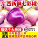 山間果好廣西高山新鮮七彩椒農(nóng)家自種五彩椒泡椒現(xiàn)摘五色小米辣現(xiàn)貨速發(fā) 廣西七彩椒 0斤 5斤