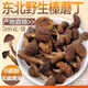 胖東來品質2024東北山珍特產野生榛蘑丁干貨500g小雞燉蘑菇長白山 500g