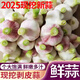 果木島【2025鮮蒜】現(xiàn)挖紫皮白皮新鮮大蒜頭濕蒜嫩蒜鮮蒜新蒜 紫白皮 2500g