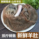 生羊肚 現(xiàn)殺新鮮羊肚山羊肚胃內(nèi)臟 羊下水 羊下貨 山羊肉羊雜 新鮮羊毛肚3斤裝