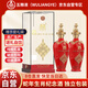 五糧液股份出品 乙巳蛇年生肖紀(jì)念酒 500ml*2瓶 送禮收藏生肖酒