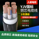國標YJV銅芯電力電纜2345芯10/16/25/35平方戶外工程電力電線電纜 4加1芯 25平方毫米