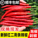 辰實(shí)【順豐】紅二荊條新鮮 紅辣椒 現(xiàn)摘紅線椒農(nóng)家蔬菜可做剁椒辣 10斤 （量多劃算）