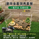 品云美寵獨角仙活體寵物昆蟲(chóng)甲蟲(chóng)成蟲(chóng)幼蟲(chóng)活蟲(chóng)新手入門(mén)套餐 豪華全套飼養套餐【蟲(chóng)+用品一站購齊】