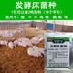 干撒式發(fā)酵床菌種陽(yáng)臺養雞發(fā)酵床菌劑養殖雞鴨鵝豬除臭復合EM菌種 1包(發(fā)酵1噸)