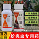 國光卓圃蚧殼蟲專用藥蚧必治除木虱殺蟲劑多肉月季柑橘介殼蟲農(nóng)藥 200ml
