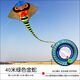 一箏天下新品濰坊長(cháng)尾金蛇大蛇青蛇大型成人長(cháng)尾三角微風(fēng)好飛風(fēng)箏 40米綠色金蛇+6股1000米線(xiàn)輪
