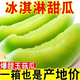 黃六爺新鮮頭茬冰淇淋玉菇甜瓜大果9當(dāng)季新鮮水果斤整箱香瓜羊角脆蜜瓜 3斤【精品大果】1-2顆~新鮮超甜
