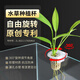 玩家寶貝山崎桂種植杯水草杯夾魚(yú)缸水培植物固定架定植籃魚(yú)缸裝飾造景配件 1個(gè)裝（不含植物）