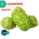正宗海南原生態(tài)諾麗果新鮮生果熟果現(xiàn)摘酵素果蔬美容養(yǎng)顏鮮果煮水 5斤熟果（熟果會發(fā)酵）不售后