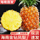 譯優(yōu)農(nóng)正宗海南金鉆鳳梨香水大菠蘿手撕無眼波蘿新鮮當(dāng)季熱帶水果整箱 凈重8.5-9斤【4-6個】香甜多汁
