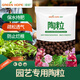 綠盼 陶粒球墊底5L花用園藝水培花盆養(yǎng)花專用顆粒小輕質(zhì)多肉種鋪面石