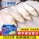 2026新鮮捕撈刀魚(yú)海刀魚(yú)新鮮捕撈 崇明浙江刀 上海地區可閃送到家 1.0兩/條 10條裝