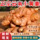 正宗云南小黃姜新鮮現(xiàn)挖生姜農(nóng)家老姜月子老黃姜特級新姜整箱批發(fā) 5斤