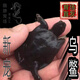 烏鱉苗外池烏鱉小甲魚(yú)寵物專(zhuān)養 4-5厘米(約8-15克) 1g