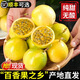 儲褚順豐發(fā)貨 海南欽蜜9號黃金百香果 當季新鮮孕婦水果禮盒裝雞蛋果 精選5斤特大果（70-90g約30個）