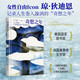 奇想之年 美國“國家圖書(shū)獎”作品 文化偶像狄迪恩代表作 魯豫 蔣方舟 簡(jiǎn)里里 張之琪推薦