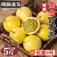 京地達(dá)正宗欽蜜9號(hào)黃金百香果凈重5斤單果70-90g 新鮮水果源頭直發(fā)包郵