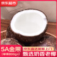 裕農(nóng)叔【JD速發(fā)】海南黑椰皇新鮮椰子牛奶應(yīng)季椰青椰奶凍孕婦生鮮水果 2粒裝（產(chǎn)地大果） 商超A+級(jí)大果800g+