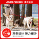 EZYDOG澳洲進口狗狗雙頭牽引繩兩只狗一拖二遛狗繩防爆沖 需搭配牽引繩 旭日紅 零拉力款 [繩長60cm|寬2.5cm]