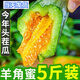 山東羊角蜜甜瓜5斤當(dāng)季新鮮水果脆甜蜜瓜香瓜時(shí)令羊角脆整箱包郵R 3斤【帶箱】