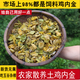 土雞內金農家自曬干貨山貨煲湯調理兒童幼兒另售山楂干獨腳金正宗 農家雞內金（片狀瓶裝 500克*1瓶