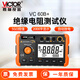 勝利儀器（VICTOR）數字兆歐表500V 絕緣電阻測試儀 電子搖表1000V絕緣表  VC60B+絕緣（5000MΩ 1000V ）