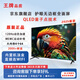 王牌E代75英寸電視高清智能語音網(wǎng)絡(luò)游戲無線投屏4K防爆智慧全面屏家用客廳電視機巨幕大屏?xí)h無邊框 85英寸 25款QLED無邊框超高清AI語音