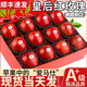 儲(chǔ)褚新西蘭進(jìn)口紅玫瑰蘋果 脆甜皇后蘋果 新鮮水果禮盒裝順豐包郵 精品12個(gè)裝【單果140-160g順豐】
