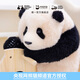 熊貓工廠(chǎng)官方6月齡福寶公仔仿真大熊貓玩偶送女友節日吉祥物禮物毛絨玩具 禮盒裝-6月齡福寶【常規款】