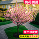 桃花樹(shù)活苗觀(guān)賞碧桃樹(shù)苗大型真樹(shù)工程綠化四季庭院別墅風(fēng)景樹(shù)盆 精品桃花樹(shù)苗(1公分粗1米) 40cm(含)50cm(不含)