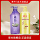 蜂花控油蓬松舒緩止癢柔順修護(hù)飄逸保濕舒爽不干澀男女士洗發(fā)組合裝 蜂花控油蓬松洗護(hù)組合裝