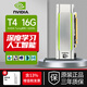 英偉達英偉達（NVIDIA）Tesla系列T4/A10/A800/V100深度學(xué)習GPU訓練推理高性能顯卡 Tesla T4 16G