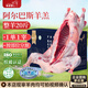 羋羊羊 內(nèi)蒙阿爾巴斯山羊 整羊20斤新鮮現(xiàn)宰生鮮羊肉禮盒 燒烤 源頭直發(fā)