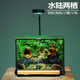 苔蘚微景觀(guān)雨林缸生態(tài)瓶桌面綠植創(chuàng  )意水陸生態(tài)缸植物森林成品造景 洞穴屋成品+燈