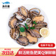 漁傳播 鮮活鮑魚(yú) 凈重1斤 6-8只 生鮮海鮮貝類(lèi) 包鮮不包活 源頭直發(fā)