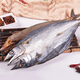 哈皮猴 山東特產(chǎn)新貨咸鲅魚干2條約1000g 咸魚干大馬鮫魚干海魚干水產(chǎn)干貨年貨