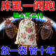 床上驅(qū)蟲藥包室內(nèi)去除床螨床虱臭蟲藥包殺蟲劑衣柜吸血虱凈蟲藥包 買2送1【驅(qū)蟲床虱床螨】店長主推