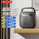 新科V36 無(wú)線藍(lán)牙音箱戶外大音量廣場(chǎng)舞音響小型家用收音機(jī)手提便攜式地?cái)倲[攤喇叭收錢(qián)碼語(yǔ)音播報(bào)器 T5-M【長(zhǎng)續(xù)航大音量】
