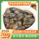 陸龍醉泥螺5A黃泥螺760g 粒大脂豐 開(kāi)蓋即食 寧波老字號 特色海鮮水產(chǎn)