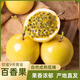 味果生百香果廣西欽蜜9號黃金百香果當季新鮮水果黃金果現(xiàn)摘產(chǎn)地直發(fā) 5斤 中果【約9-10個/斤】