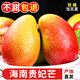 探味君 海南貴妃芒果 應當季時(shí)令新鮮水果甜心紅金玉青煌芒整箱 生鮮 凈重8.5-9斤 【香甜爆汁】單果100-150g
