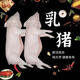 京戰(zhàn)新鮮現(xiàn)殺冷凍烤乳豬整只生豬脆皮豬酒店小耳脆皮烤乳豬小豬肉新鮮 精品整只乳豬（7-8斤）送腌料